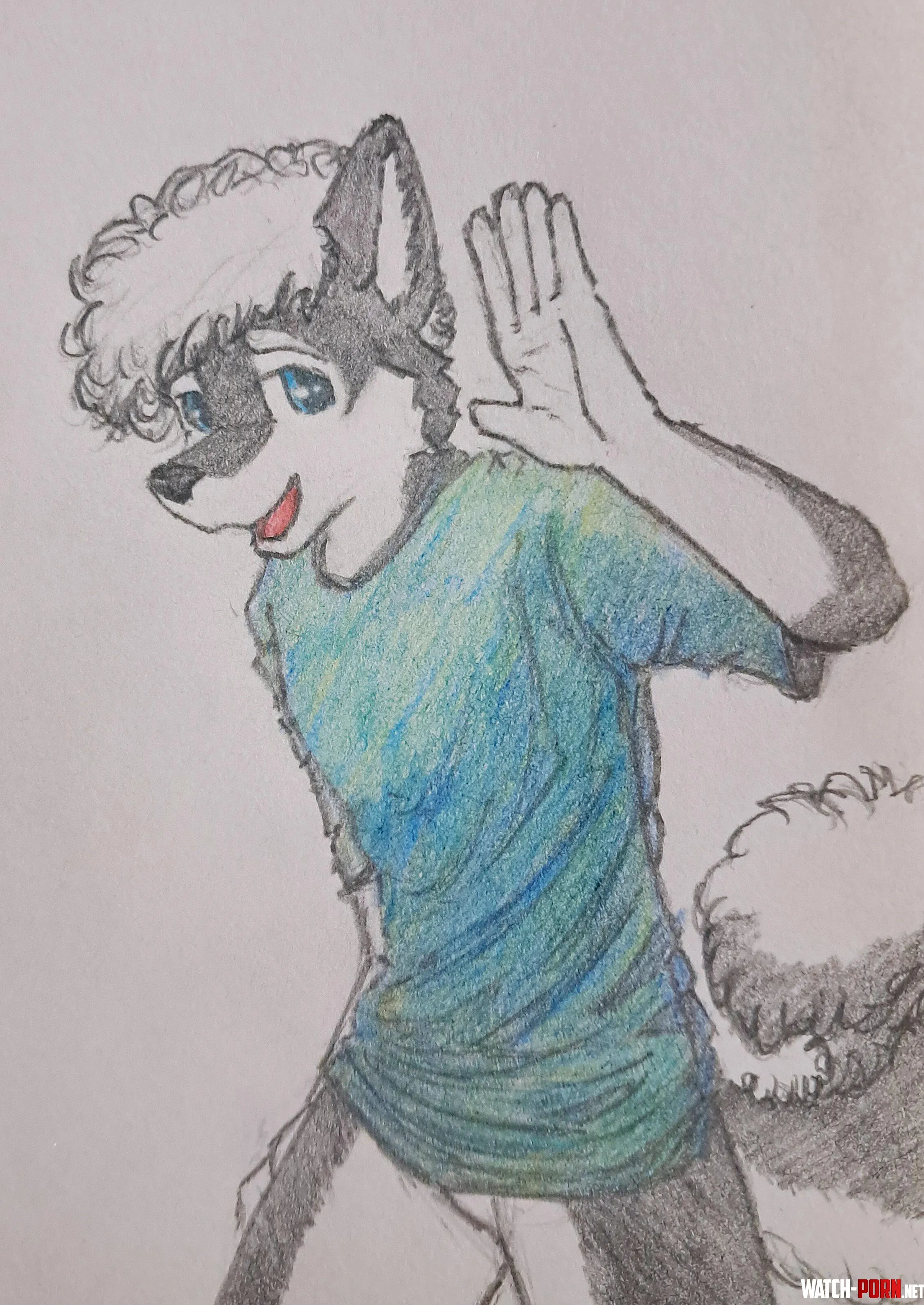 I just drew this charming husky By the way he still doesnt have a name Feel free to share your suggestions by DeffyHelfer