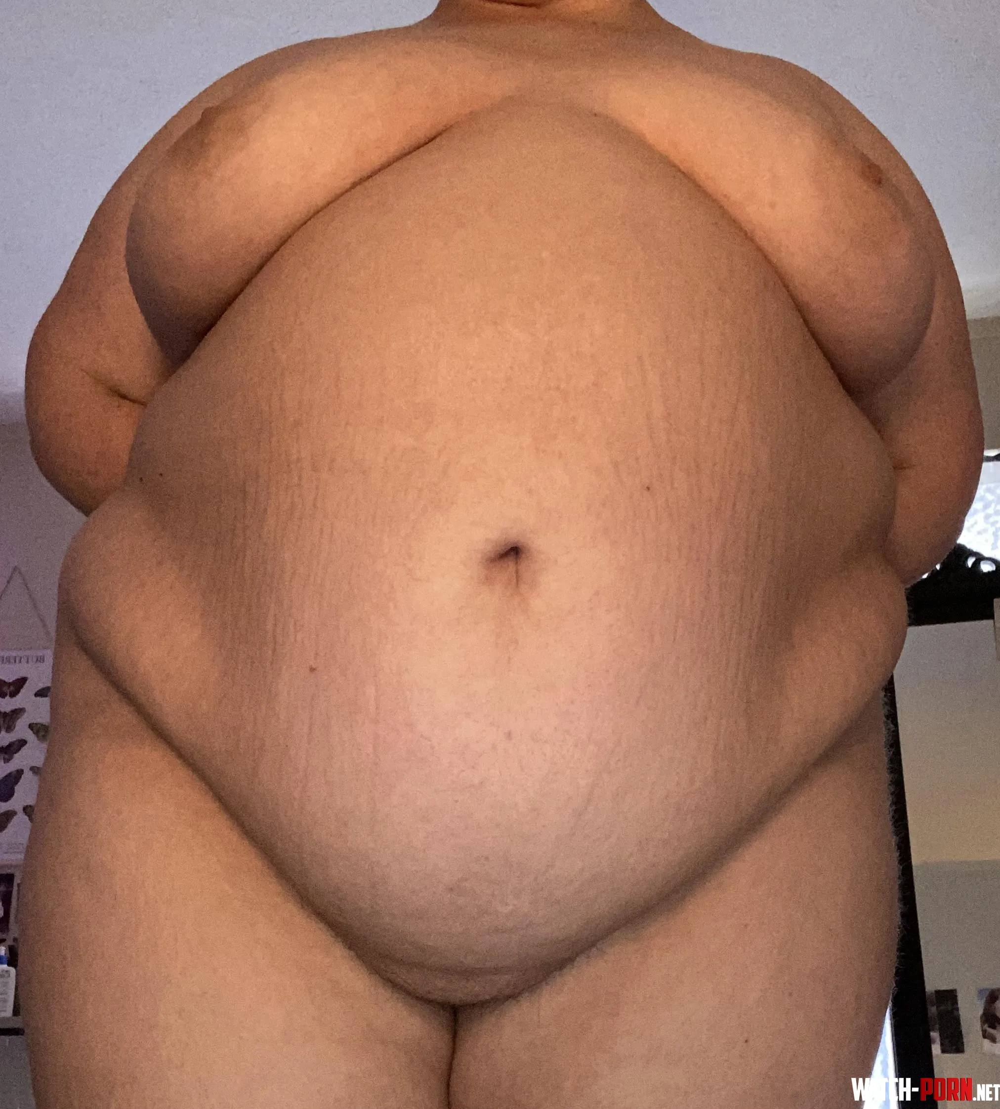 you can tell when a belly is stretched constantly from being stuffed by feedmeadelina