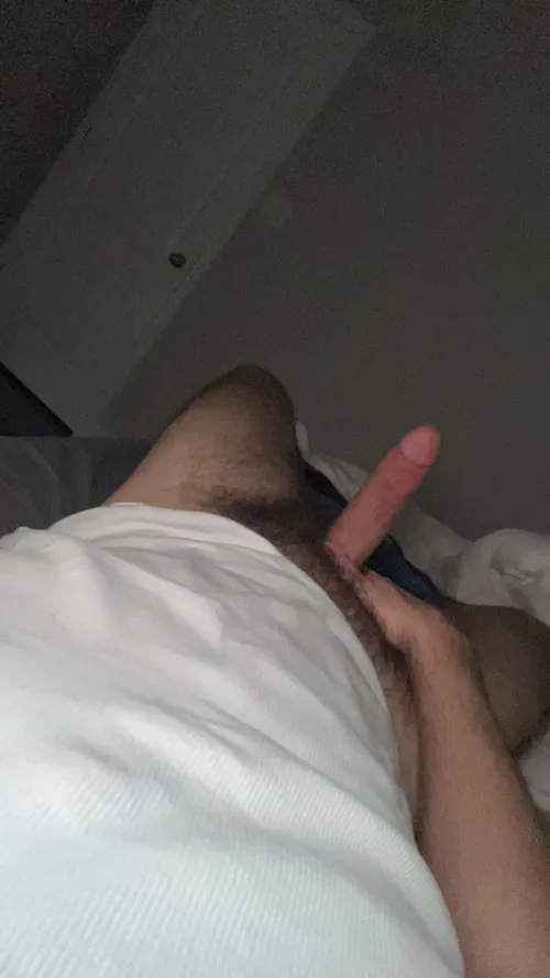 Thumbnail Bros Only: Basic_Zebra_5583's Recent Horniness