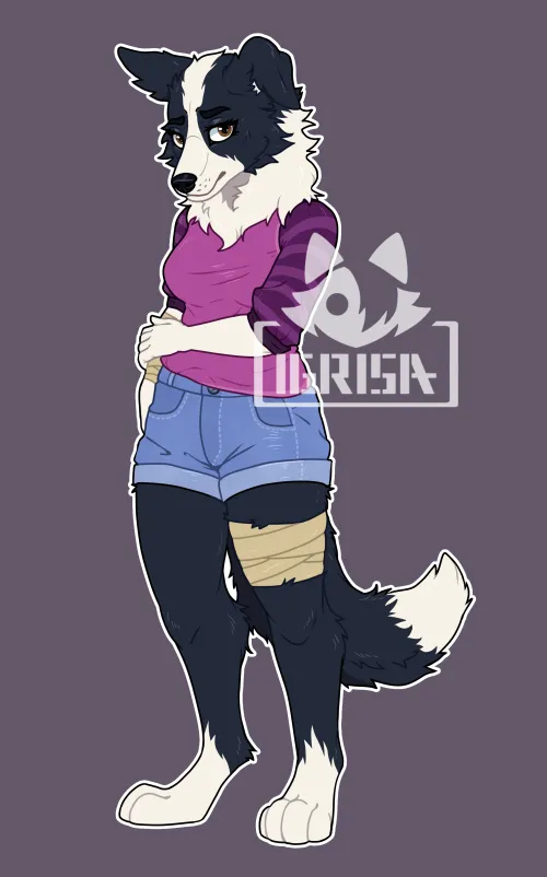 Thumbnail Border Collie Girl: Adorable Furry Art Commission