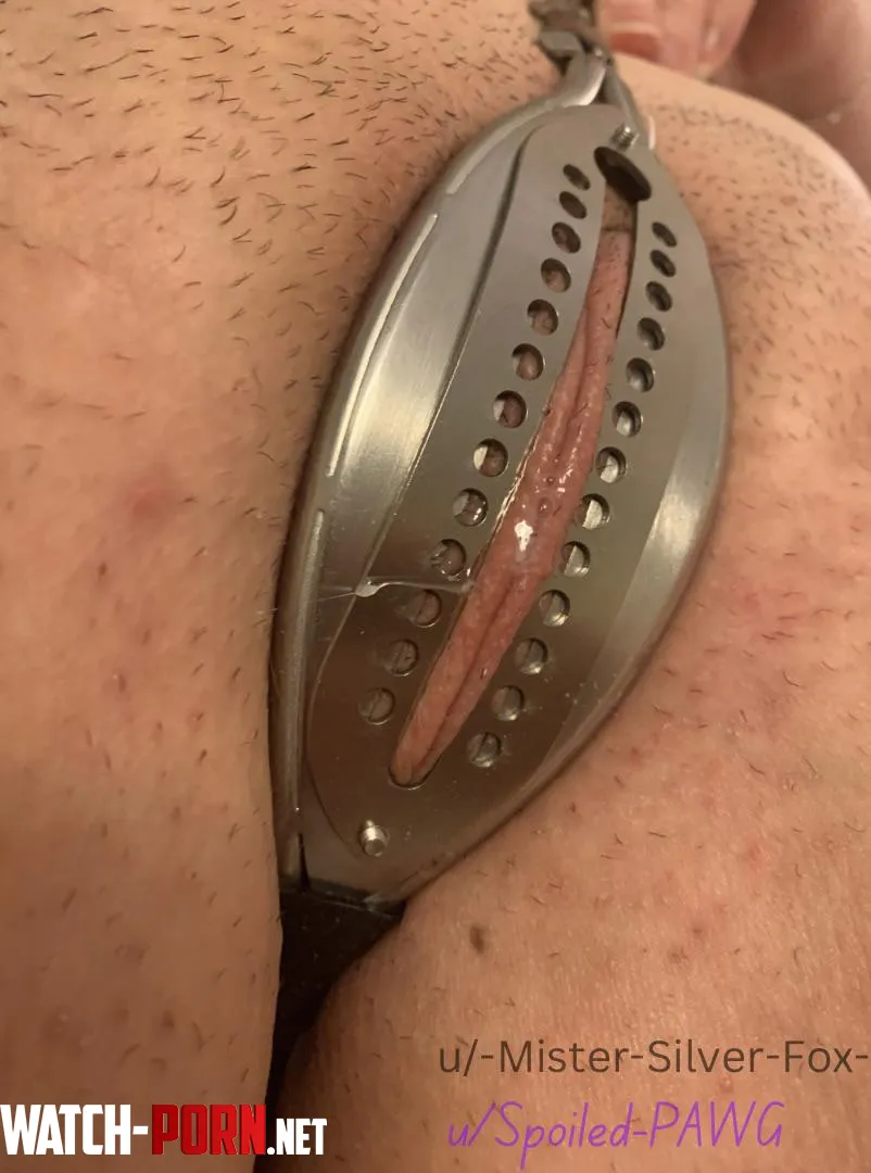 Master made me leak through my belt last night  by Spoiled-PAWG