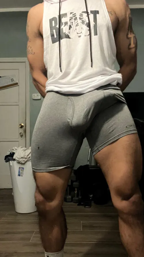 Thumbnail Ready to Hit the Gym by AdonisFit69 in Boxershorts Category