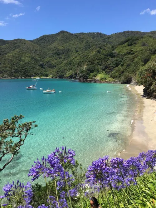 Thumbnail Discovering New Zealand's Beach Charms | colapepsikinnie | beach