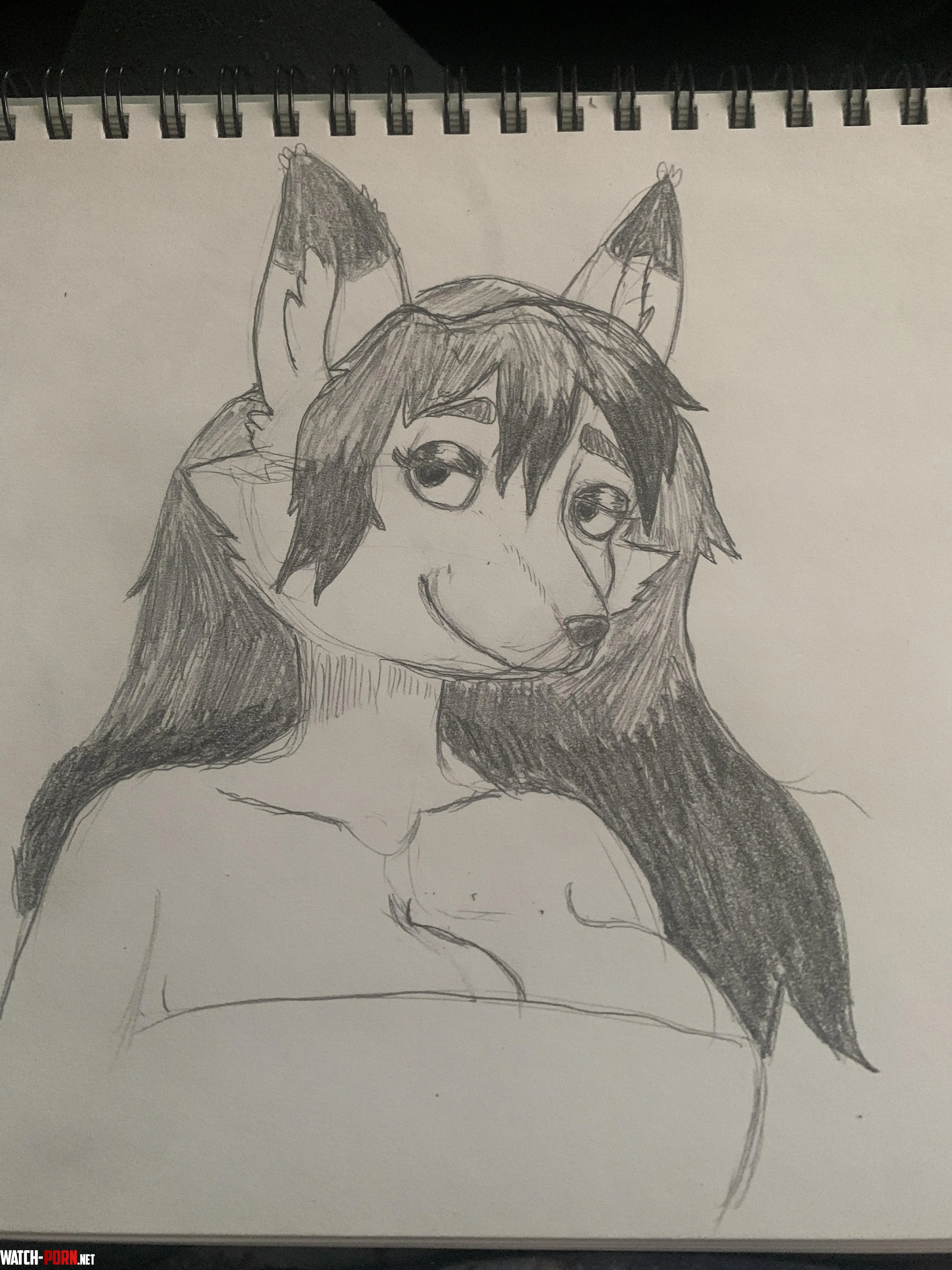 First time drawing Anthro by NillaVanilla_01