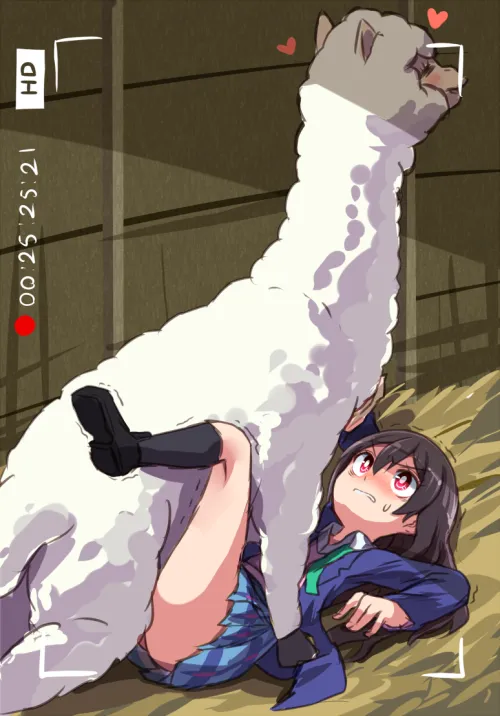 Thumbnail Justpassingby86's Alpaca Encounter Unveiled in HentaiBeast