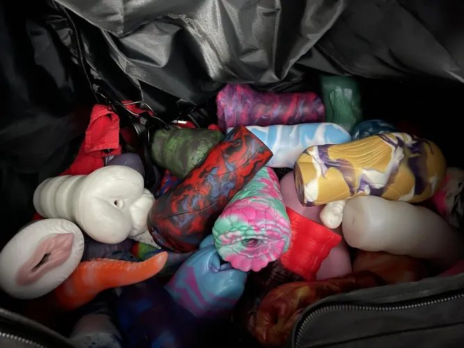 Thumbnail Organizing Bad Dragon Toys: My Toybox Journey by Thatguyeatingcheetos