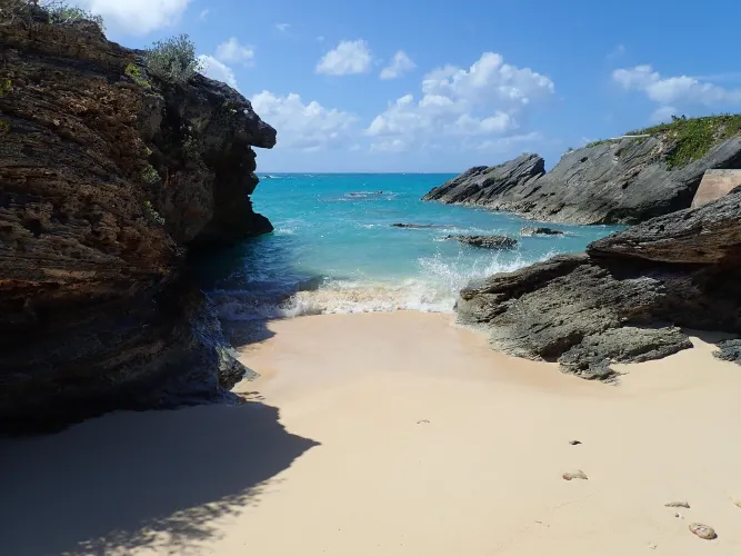 Thumbnail Lovely Bermuda Beach Delights | colapepsikinnie | beach