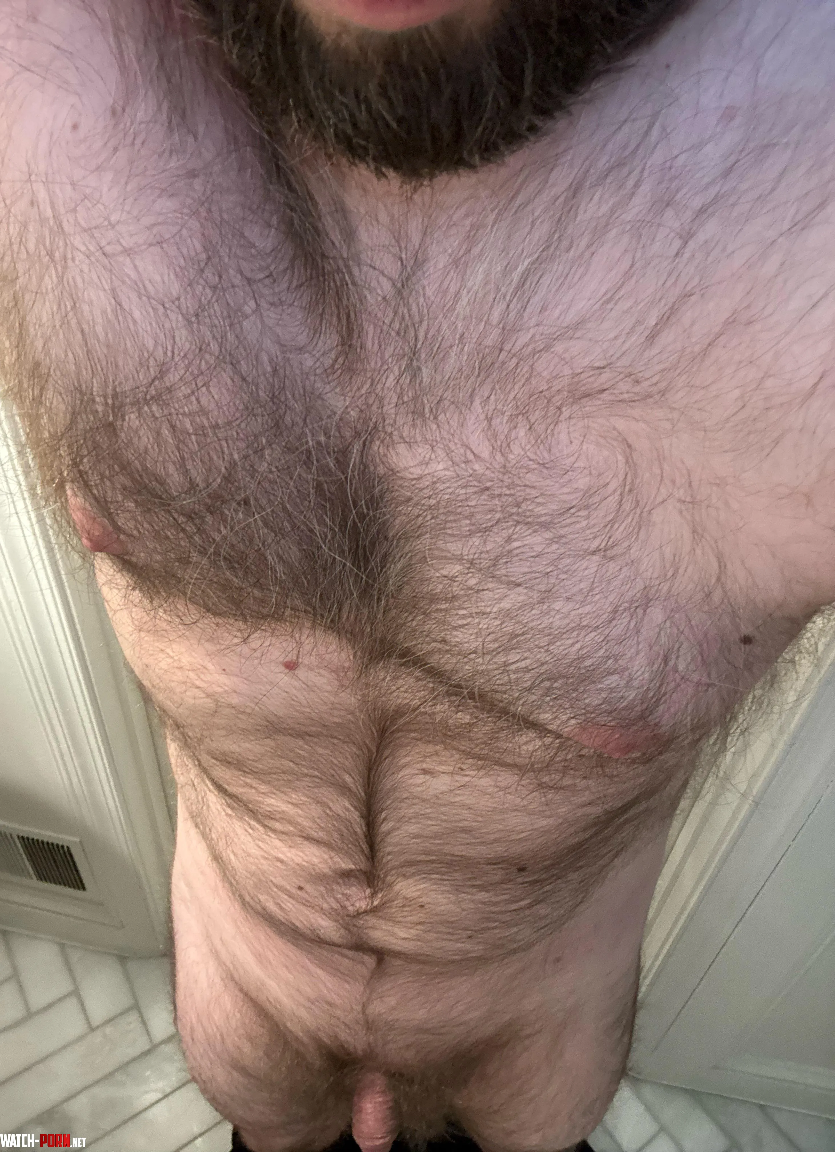 40 hairy masculine bro looking for other hairy men to connect Dm me  by bryc2999