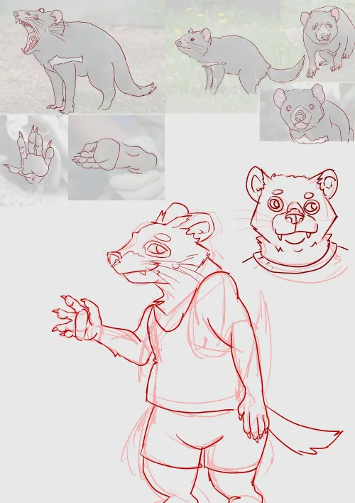 Thumbnail Unveiling a Tasmanian Devil OC by TransPossum: Adding Diversity to Furry Creations