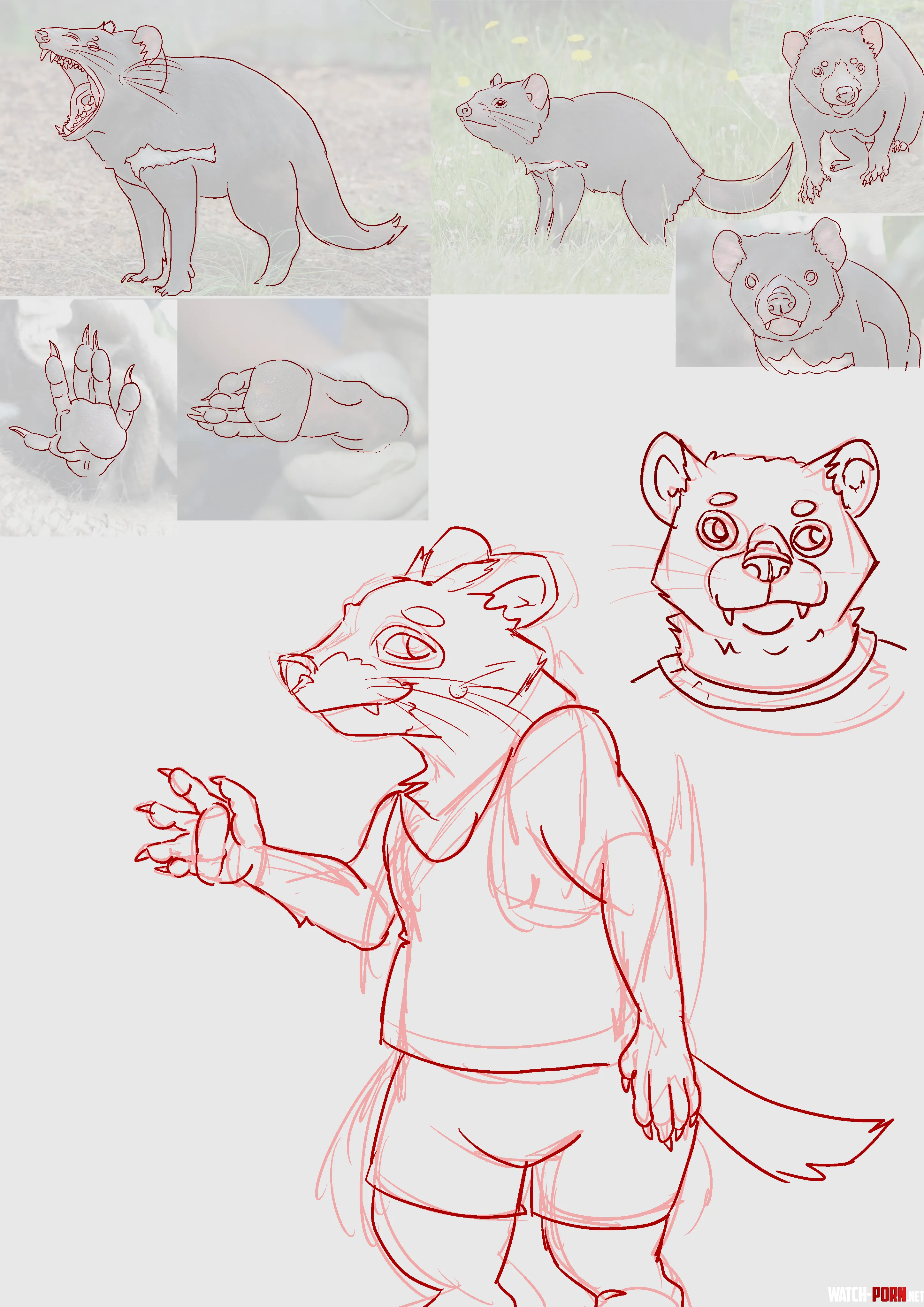 Someone said that theyve barey seem any tasmanian devil OCs so ive tried to make one by TransPossum