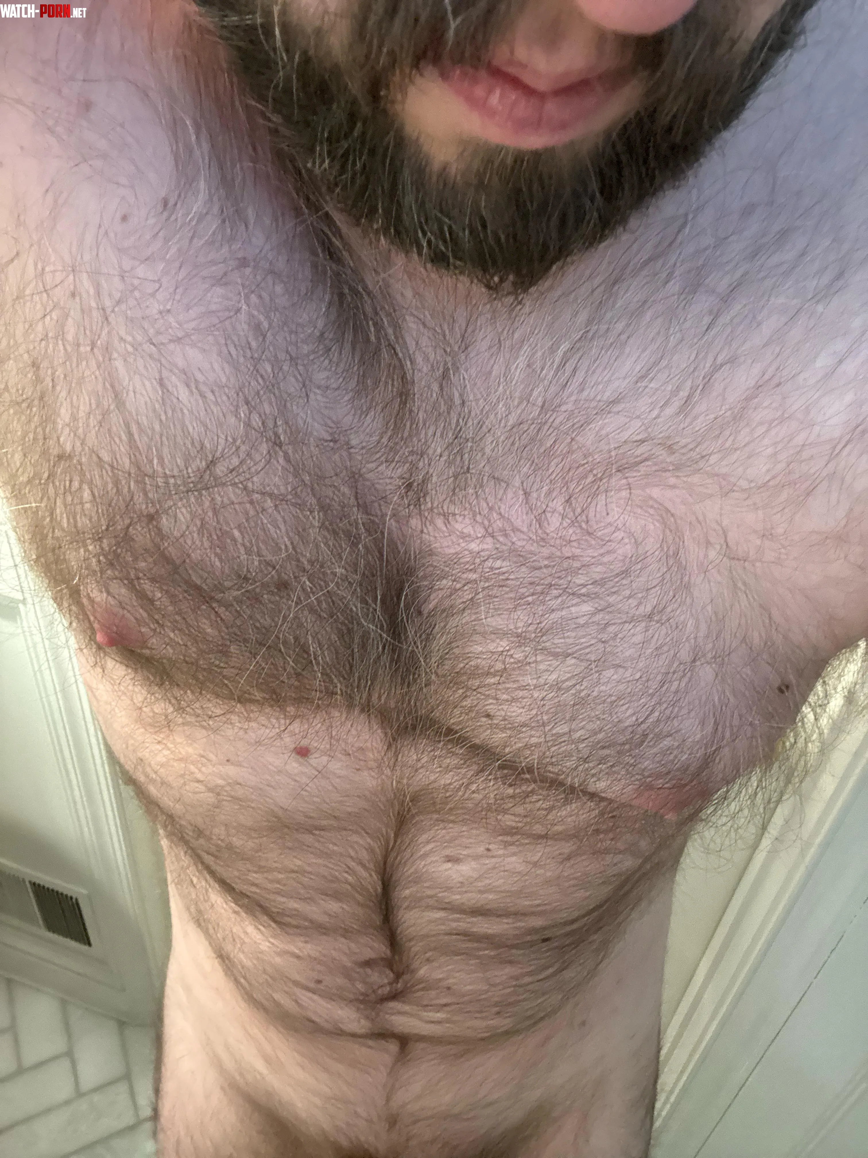 40 hairy masculine bro looking for other hairy men to connect Dm me  by bryc2999