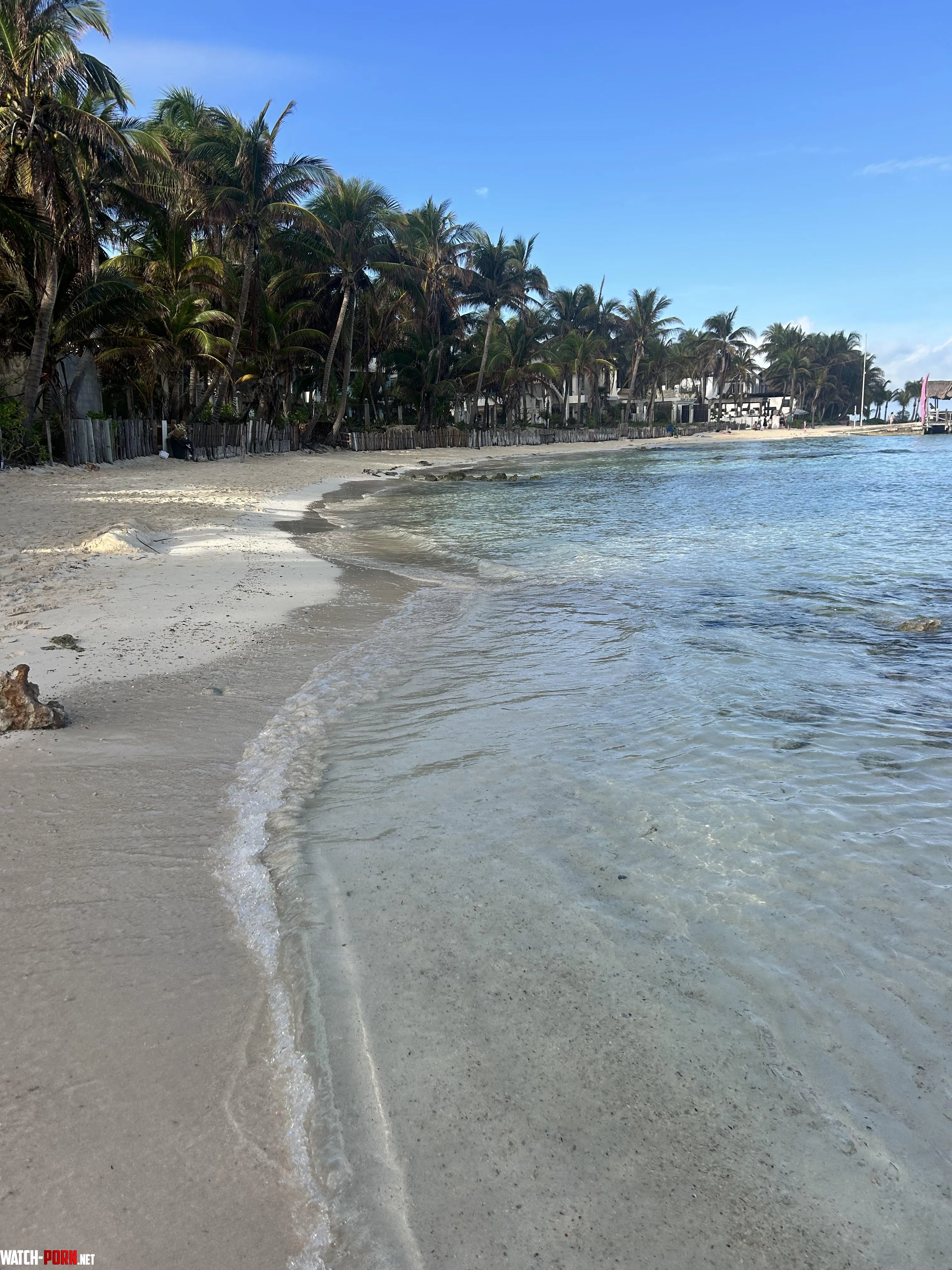 Isla Mujeres Mexico               2025 New Years Day by Signal-Highway3465