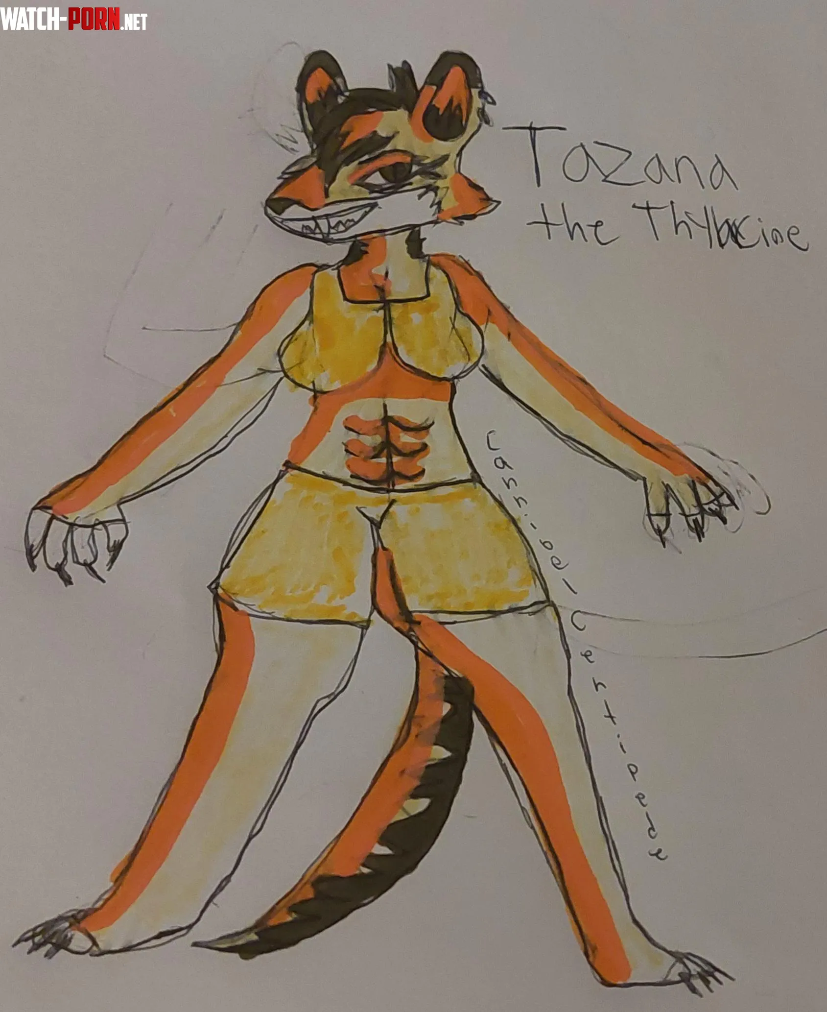 Tazana The Thylacine OC by CannibelCentipede