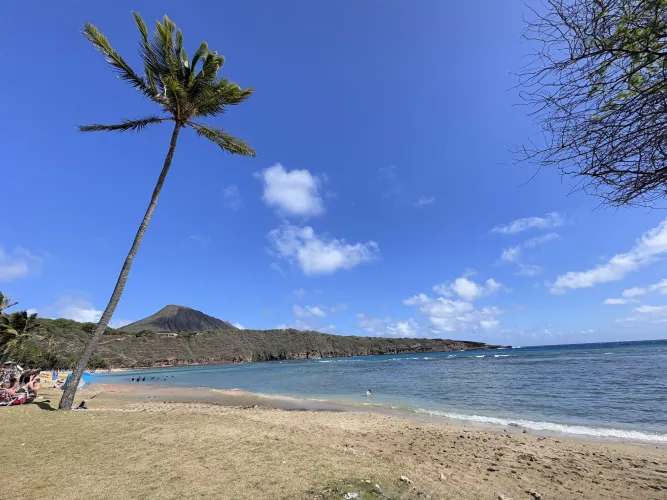 Thumbnail Discover the Wonders of Hanauma Bay According to Useful-Blood-9282