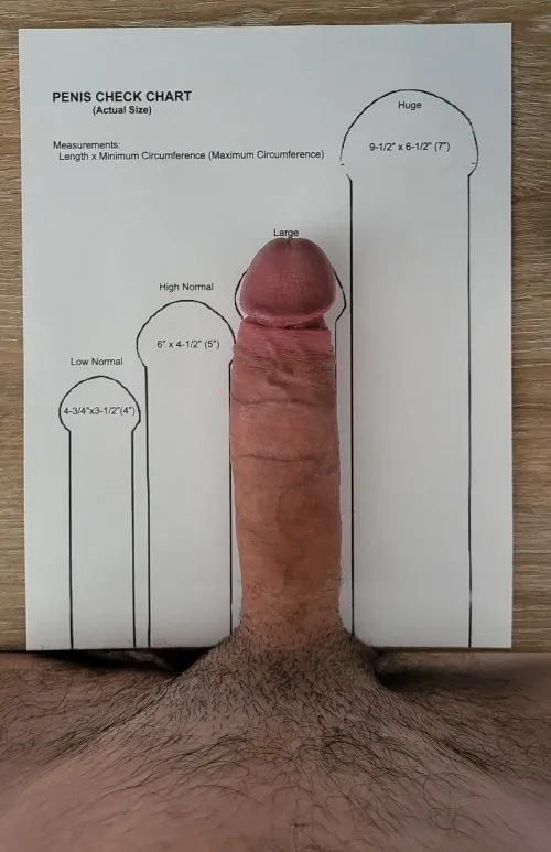 Thumbnail pollonespanol1 Seeks Large Hole to Pound Balls Deep in gayporn