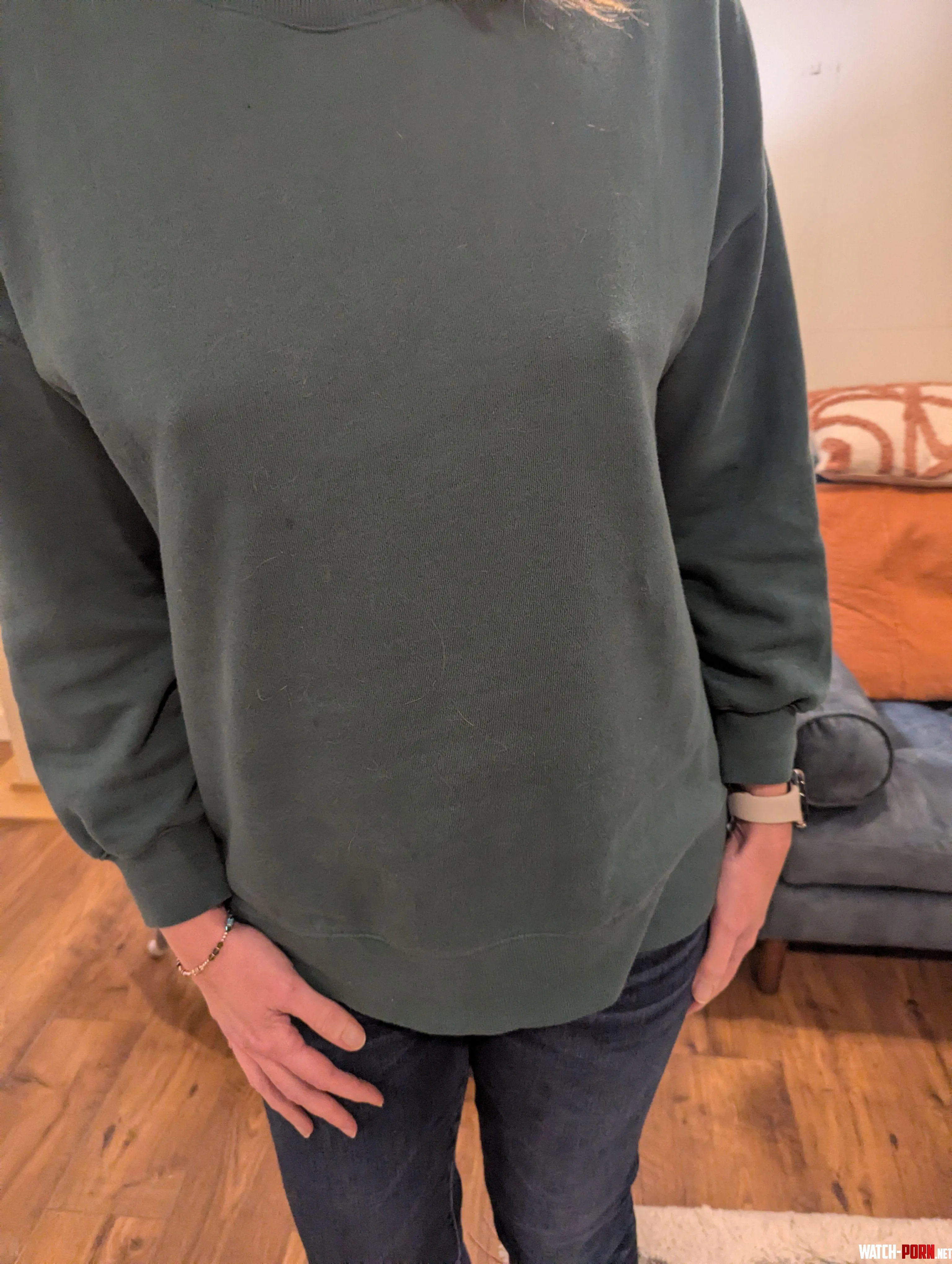 Even this heavy sweatshirt cant contain the nips by TOYST_OF