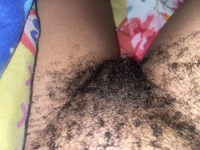 Thumbnail Full Bush Confessions: Unleashing HairyPussy Secrets with honeybabyx