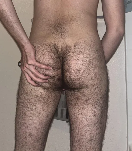 Thumbnail Always Hairy: Aged 23 in Man Ass | StitchRoom