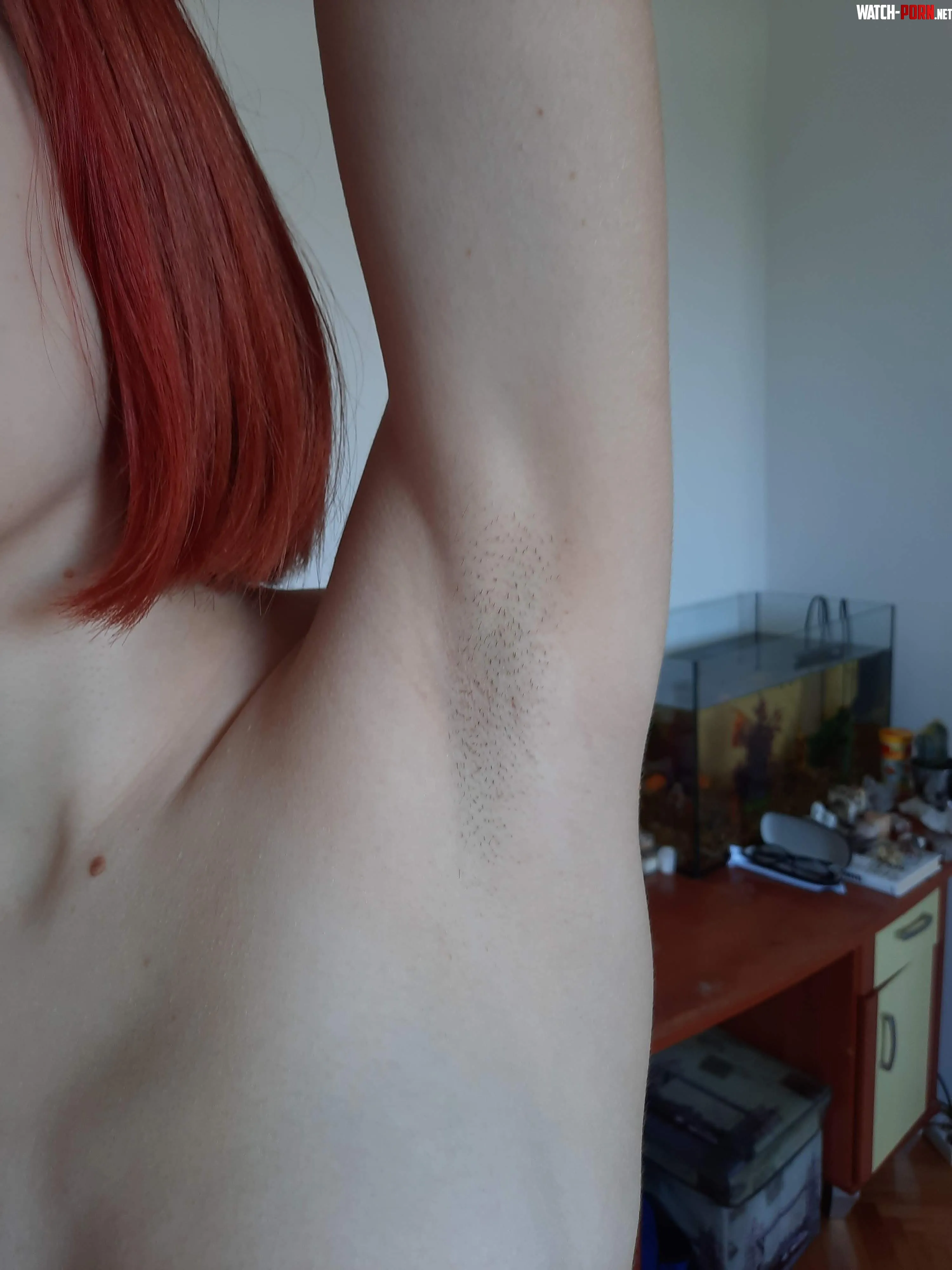 Recently shaved by HaileyNSFW