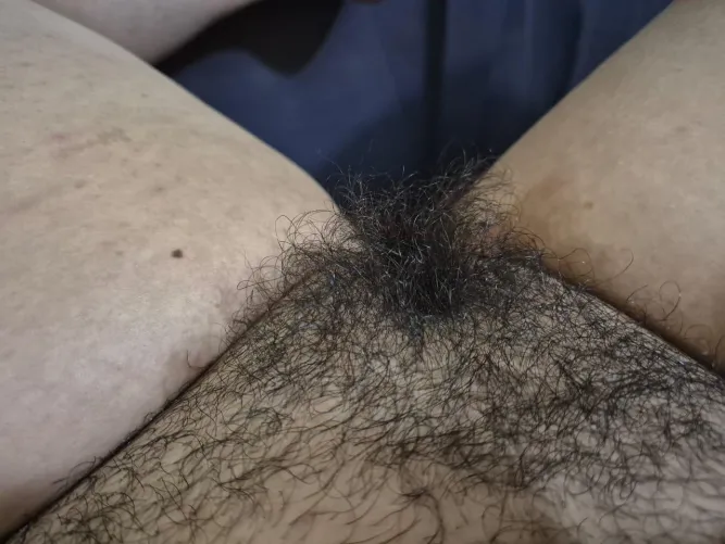 Thumbnail Embrace the Best Hairy Delights by Lunaalorens | RugsOnly