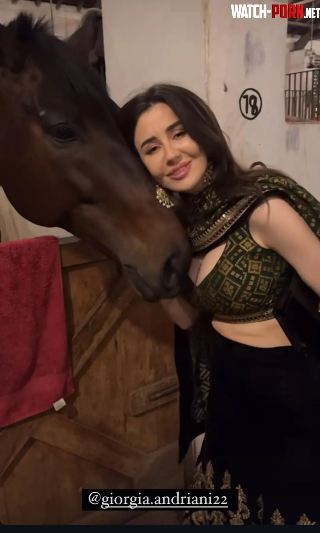 Even a horse wants to sneak into GAs boobs by No-Support206