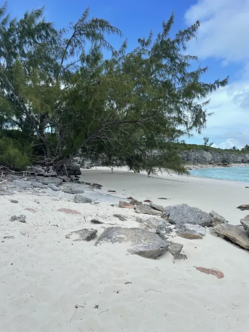 Thumbnail Exuma Bahamas by Admirable-Boat-5318 on a Beach