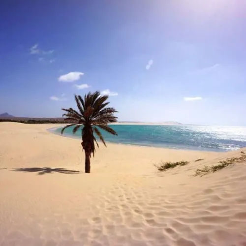 Thumbnail Exploring the Beauty of Boa Vista Beach by colapepsikinnie