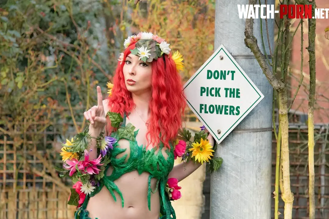 Poison Ivy Cosplay by BangBangNeko Self  by BangBangN3ko