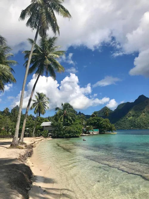 Thumbnail Beach Paradise: Moorea Island, French Polynesia by yeuxdusphynx