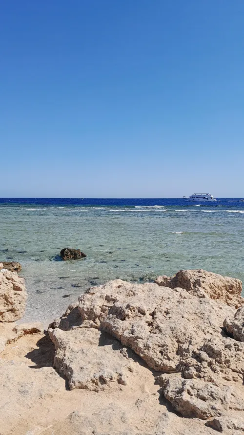 Thumbnail Unwind in Paradise: Egypt Marsa Alam Travel Guide by Fun_Buyer5452