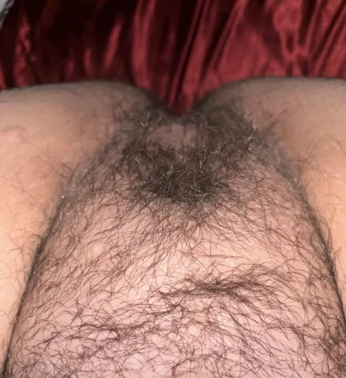 Thumbnail Wonderful_time_for69 Provides Bush Update | Hairy Category