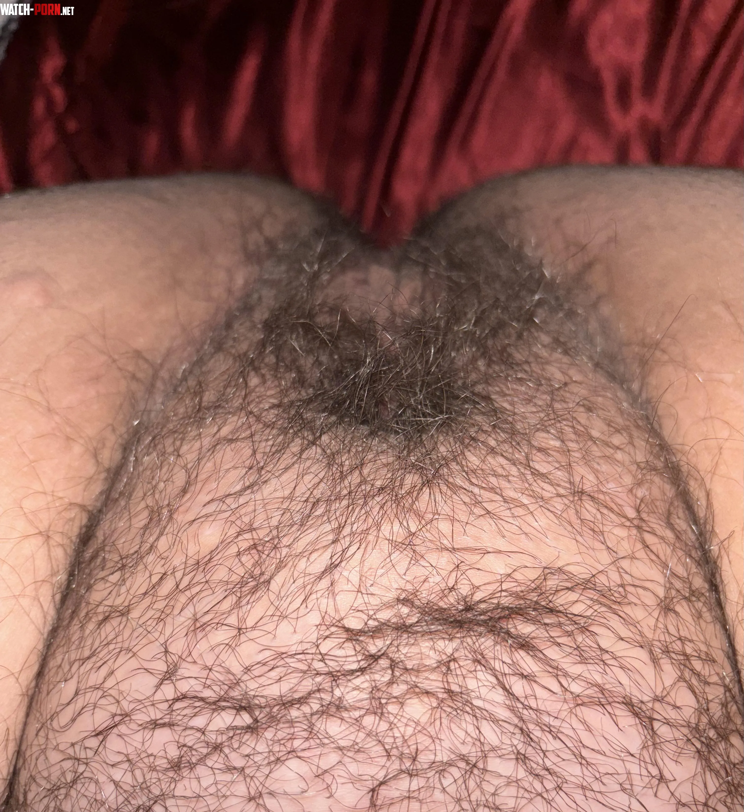 My bush update  by Wonderful_time_for69