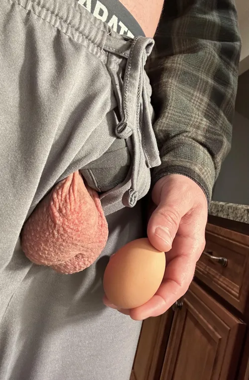 Thumbnail Fresh Eggs, I Mean Balls for You by bullhognballs