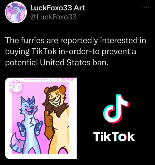 Thumbnail Exploring Tik Tok in the Furry Community by LuckFoxo33