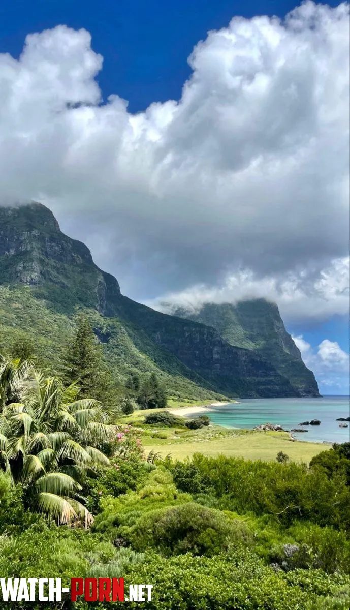 Lord Howe island Australia  by colapepsikinnie