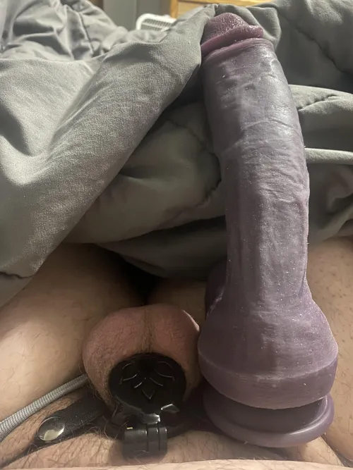 Thumbnail Staying Locked: A Journey into Sissy Chastity by ryanj30359