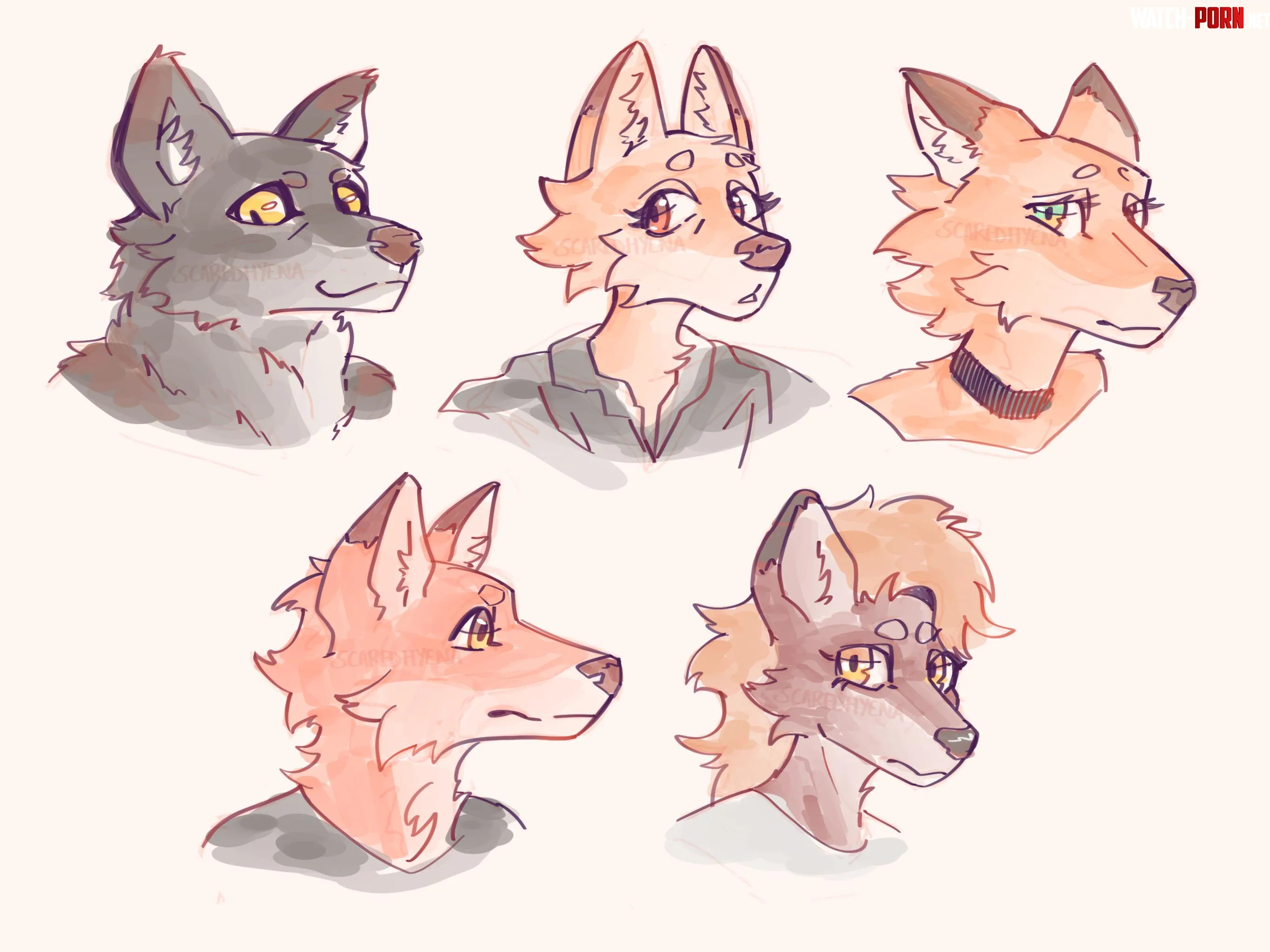 Some different fox heads OC by Candy-Hyena