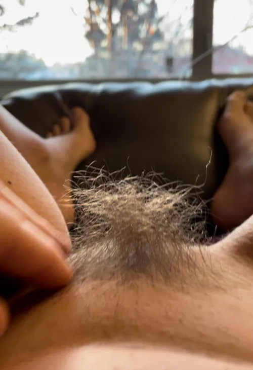 Thumbnail Hairy Journey: Embracing Natural Growth - Hairy