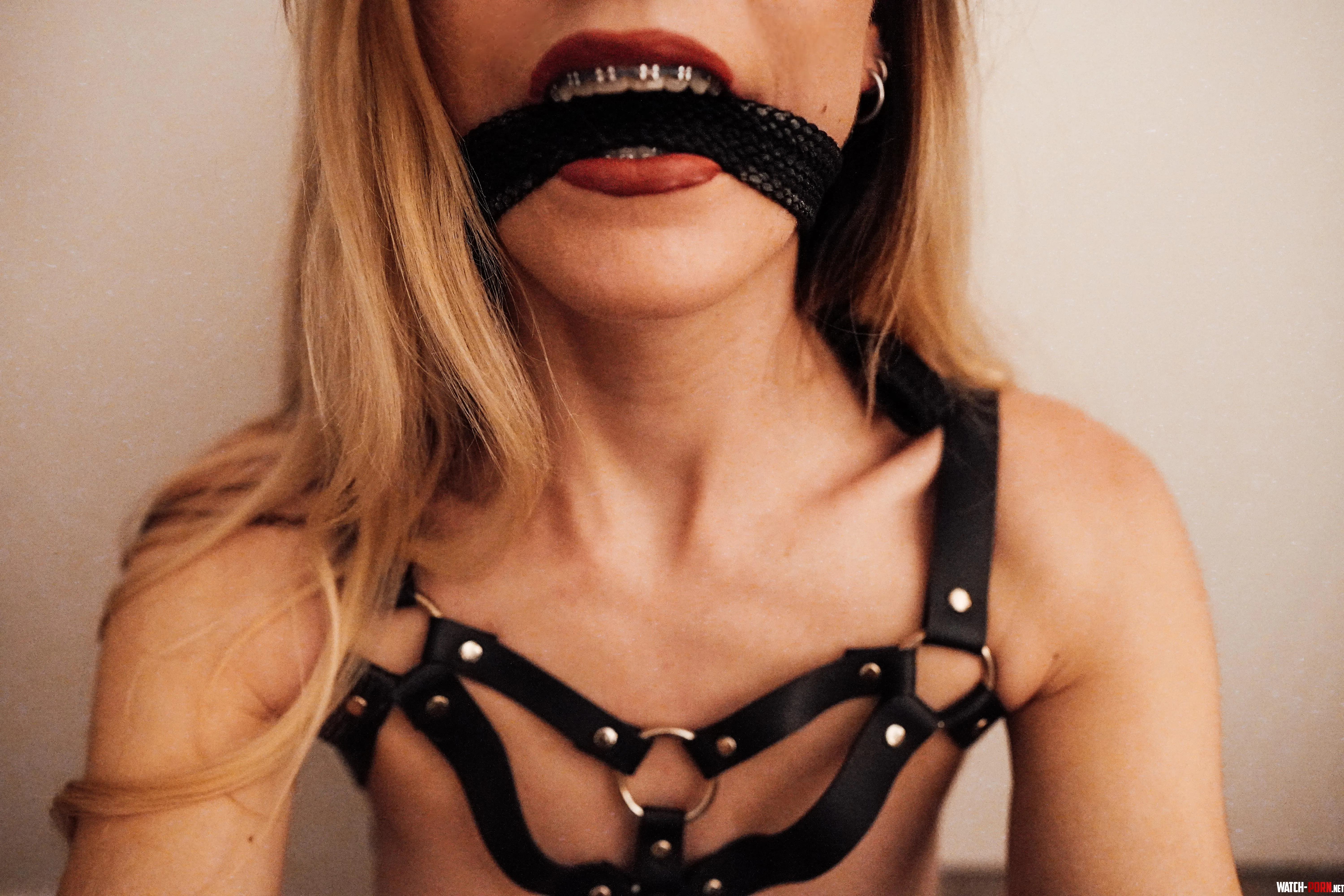 Harnessed and gagged for Master f by andie_x