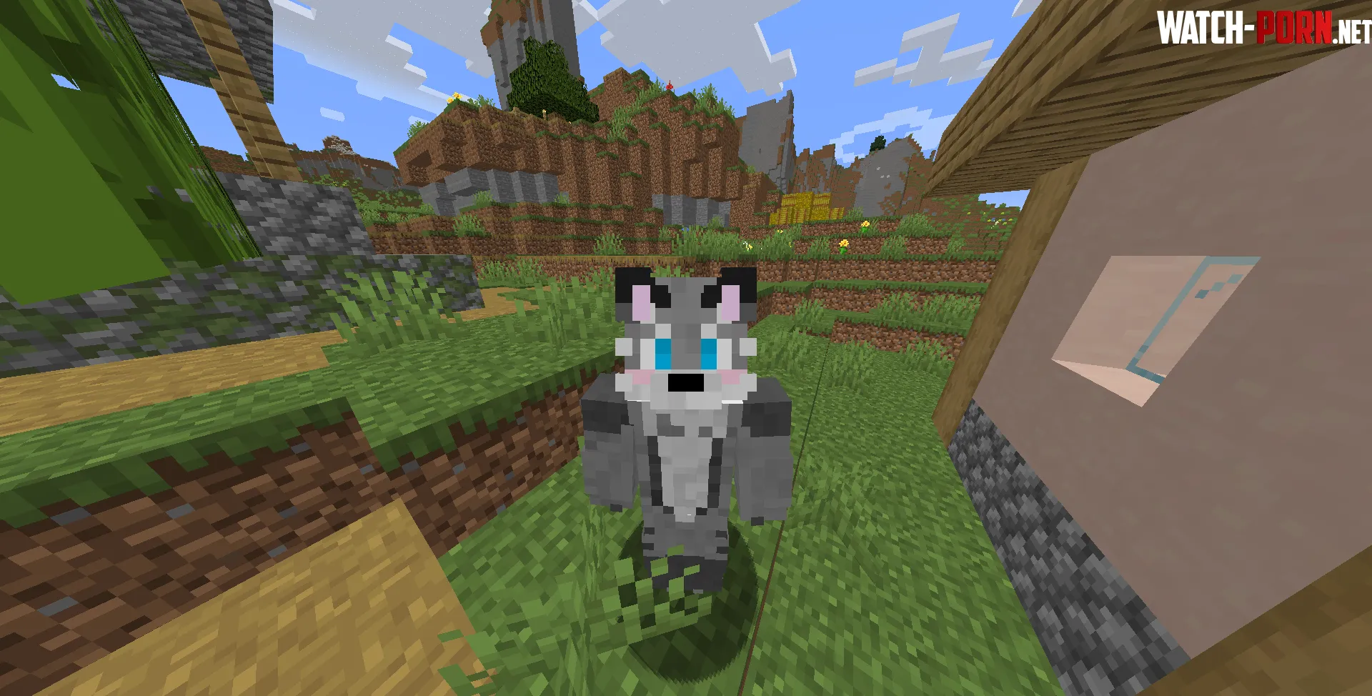 Made a Minecraft skin of my fursona D by Stormzz-26