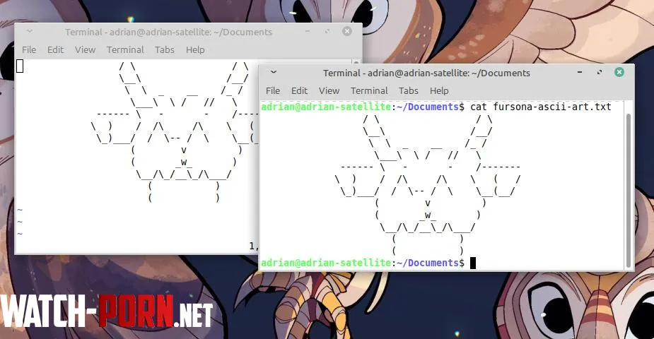 i tried to draw my fursona using the linux terminal and a text editor its a sheep by the way by adrianhooves