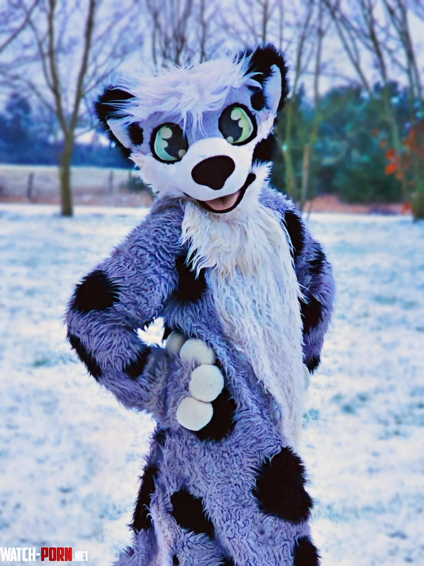 Happy Fursuit Friday  by CharliePaw