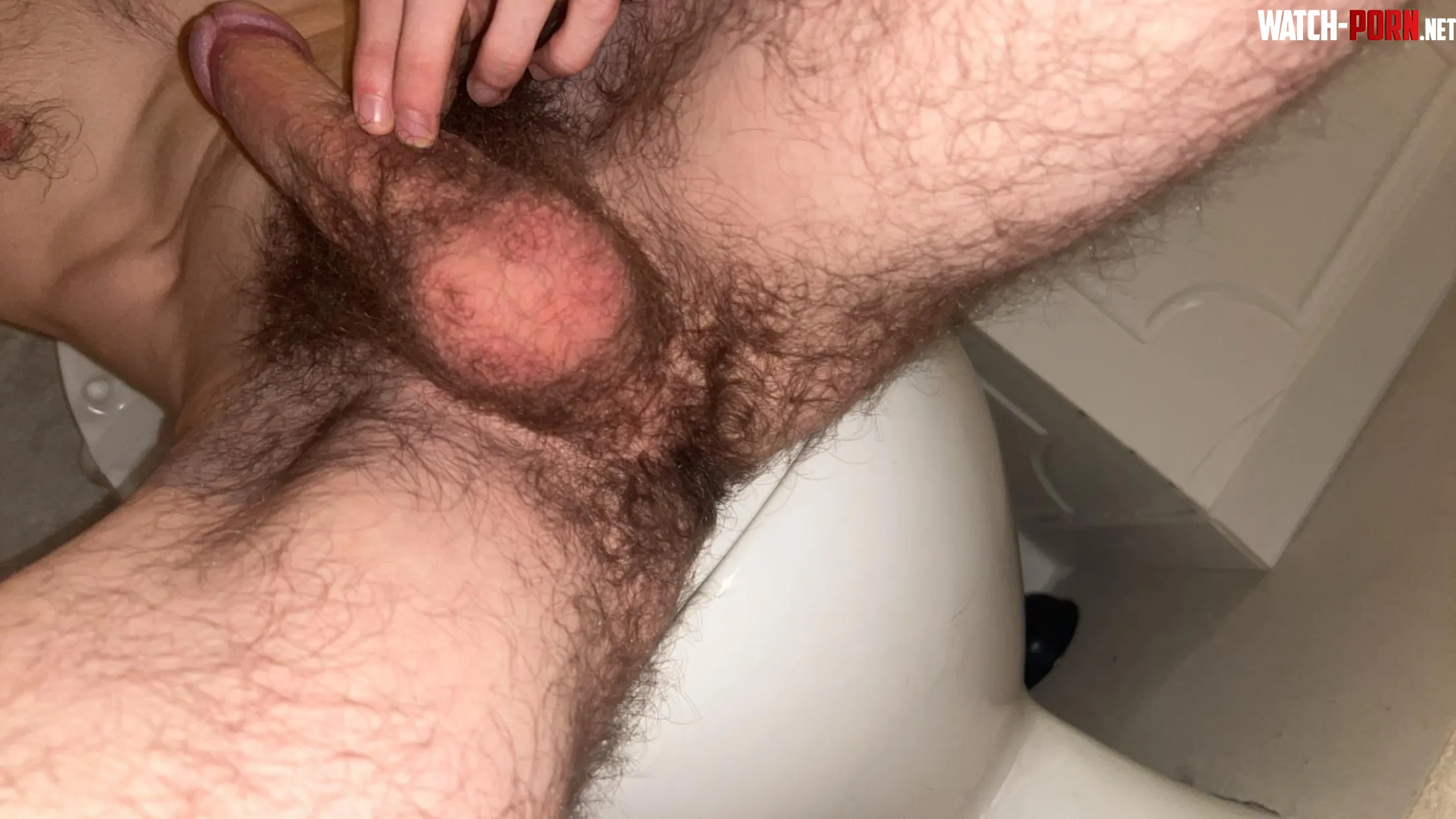 20 Cumampsuck these hairy balls by LusciousChavLad