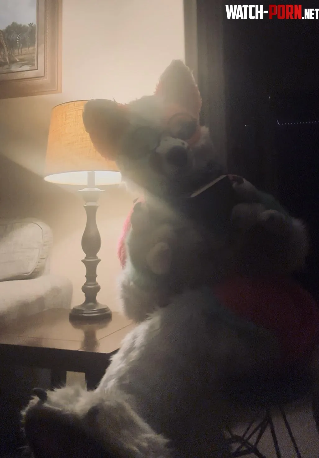 Happy fursuit Friday Ive got my reading glasses on so what would you like to read by Ancient_Summer_1833