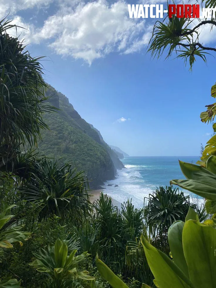 N Pali coastKauai by yeuxdusphynx