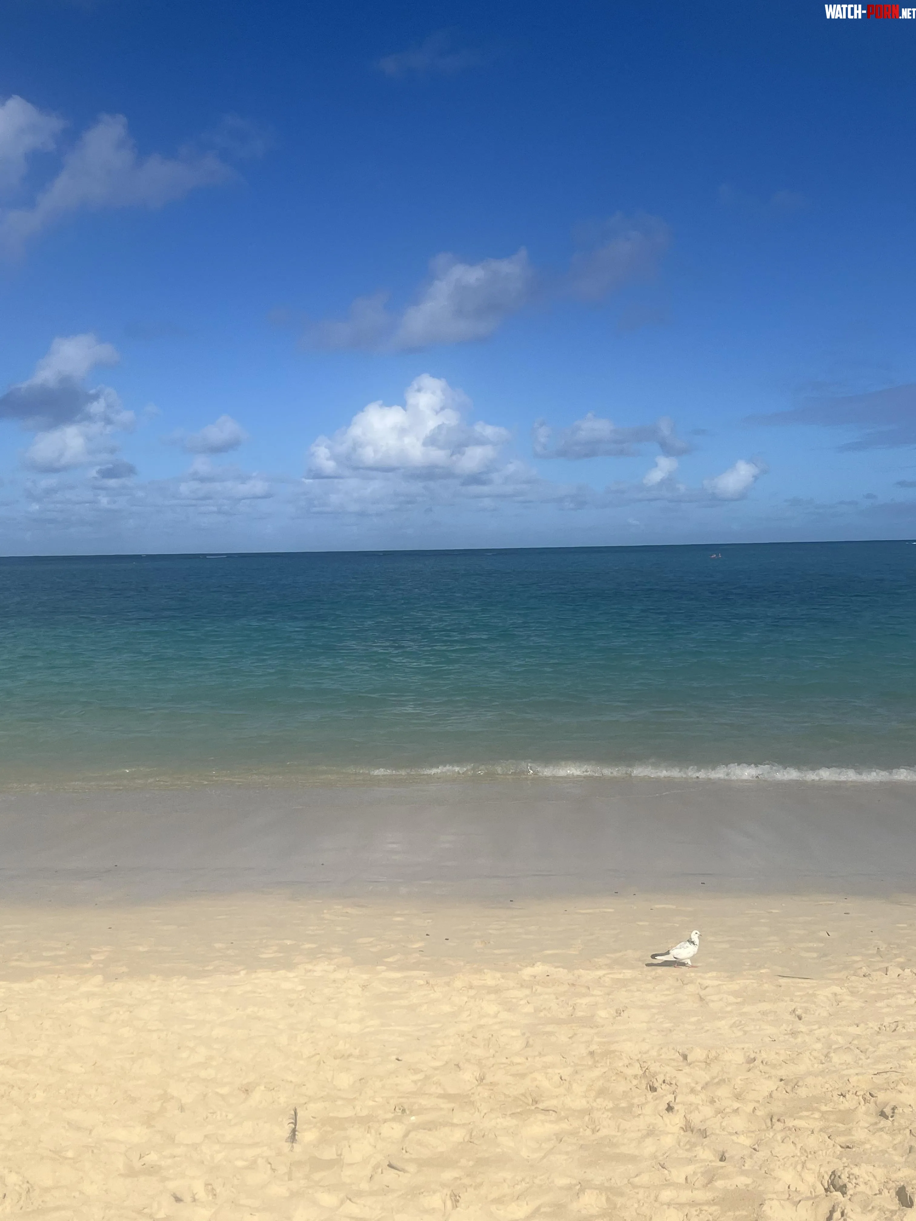 Hawaii Lanikai Beach by stack_wack