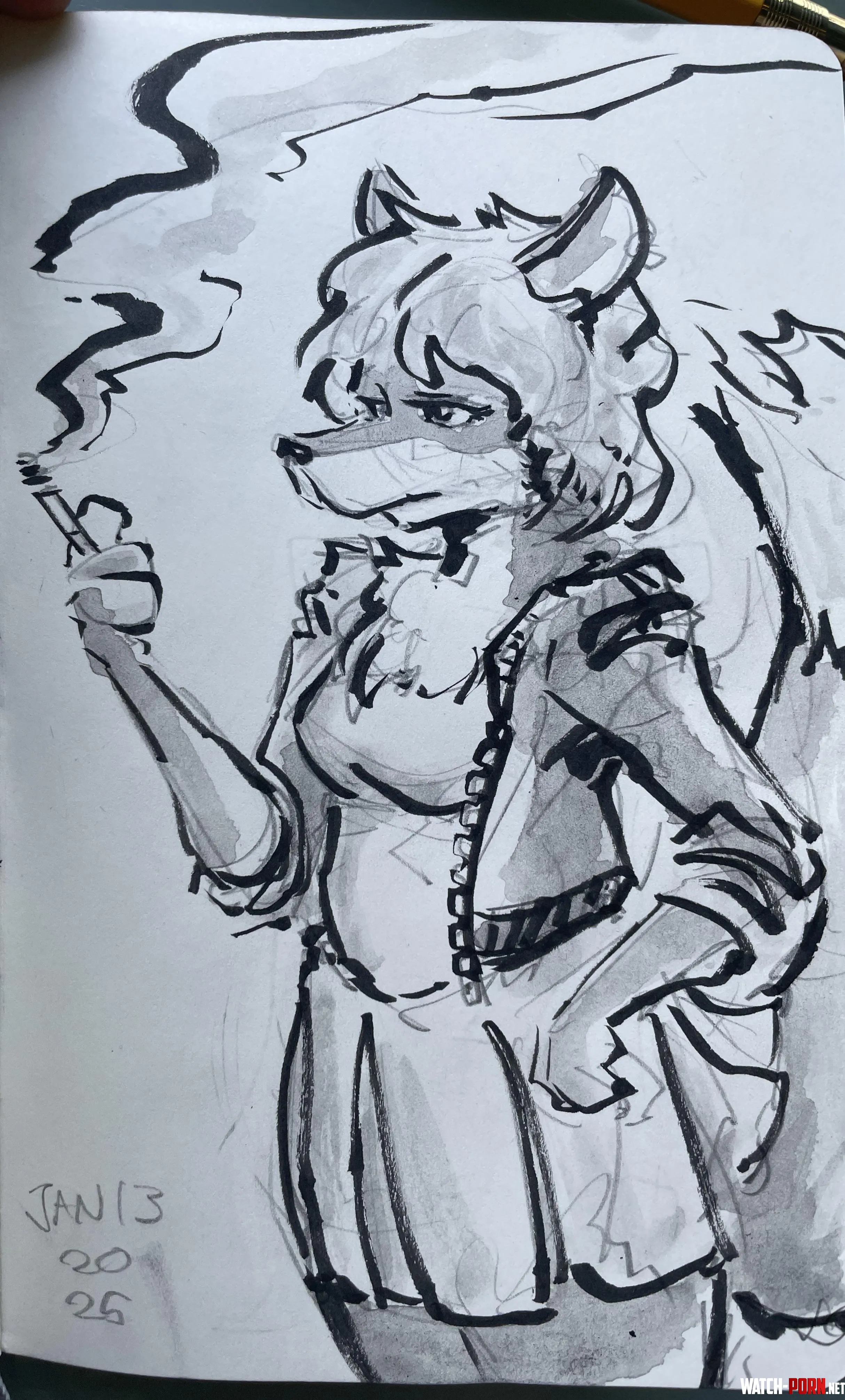 Friend asked for a fursona design Heres the sketch  by Mac9k5