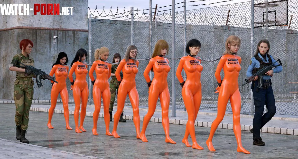 These girls are transferred to a high security bondage prison where they will stay for a long time fantasytubasa by mrned232002