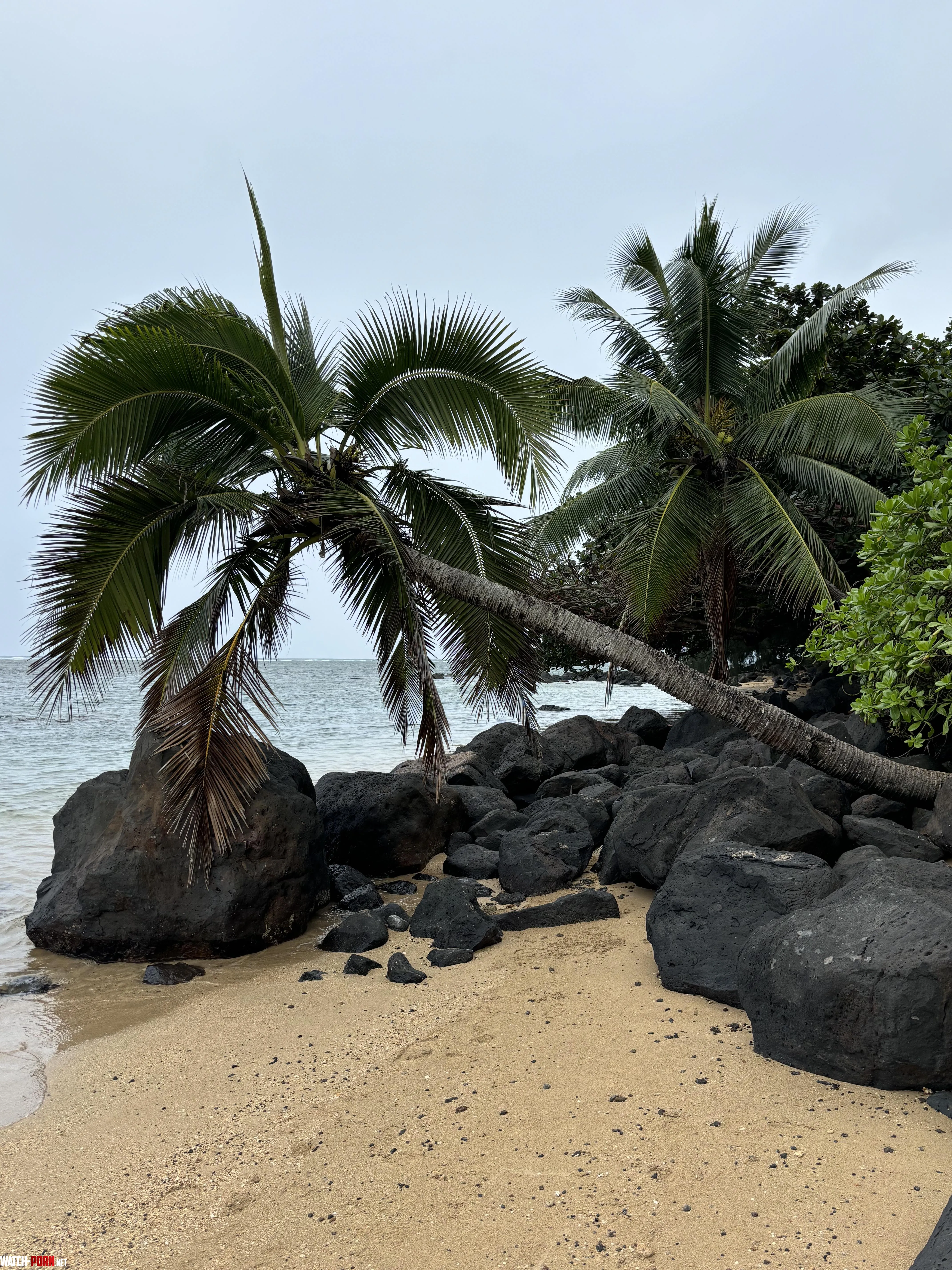 Kahili Beach Kauai HI by not_yr_avg_jo