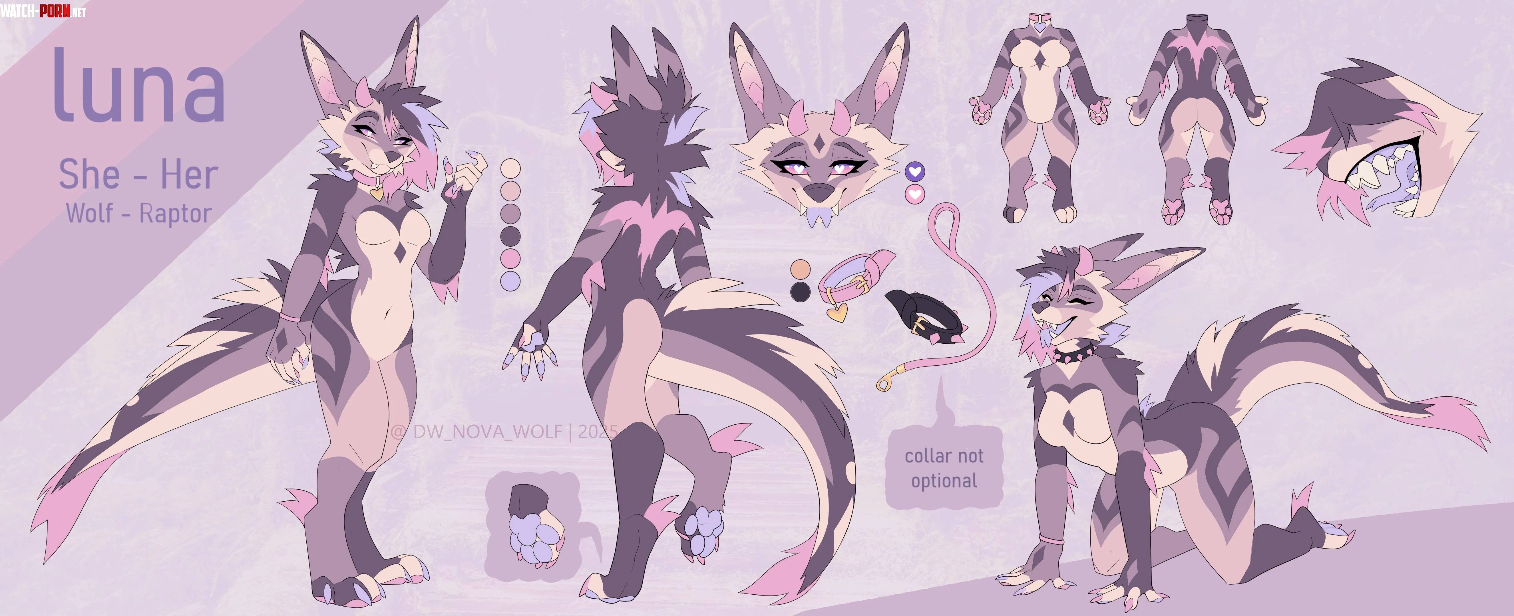 Updated my sonas ref  Art by me DM for comms  by DW_Nova_Wolf